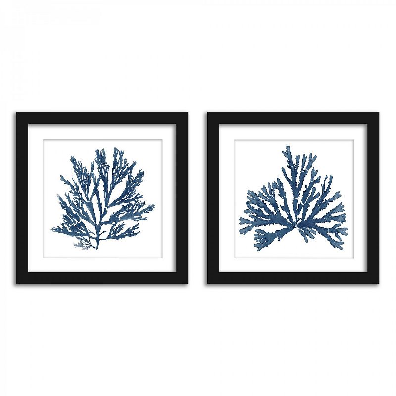 Americanflat Coral Reef In Indigo - Set of 2 Framed Prints by Wild Apple