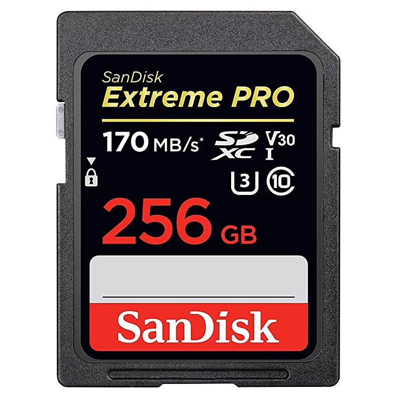 256GB SDXC Extreme Pro Memory Card Bundle Works with Sony Alpha a6000 Mirrorless Camera ILCE6000 4K V30 SDSDXXY256GGN4IN Plus 1 Everything But Stromboli TM Combo Card Reader
