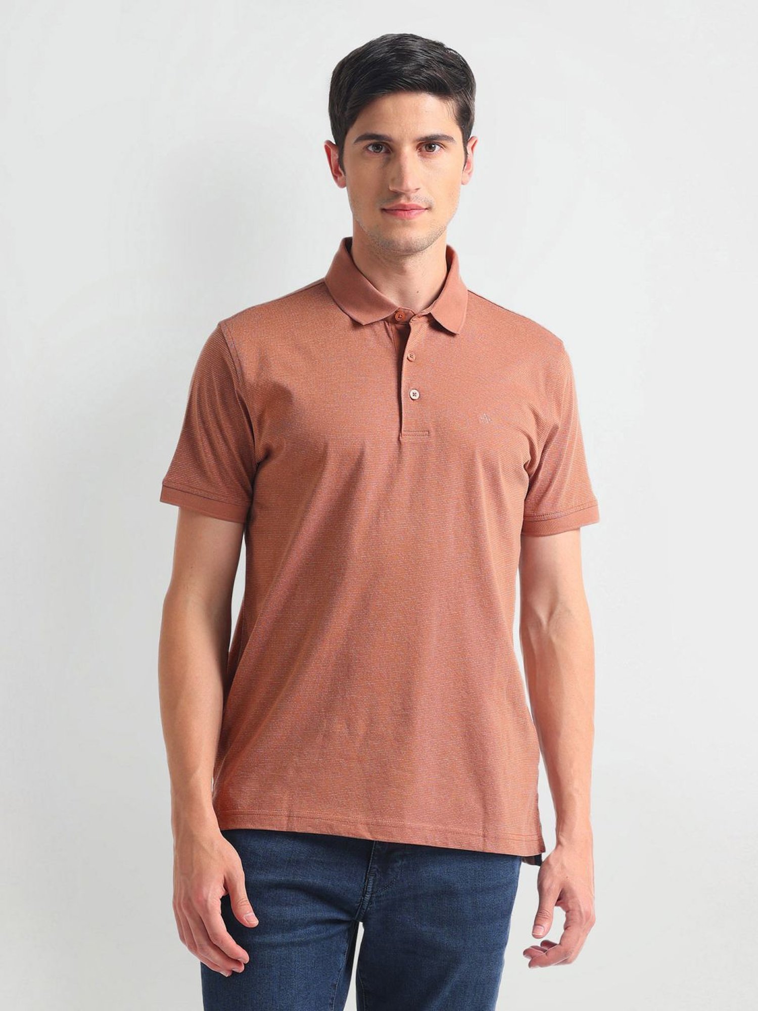 Arrow Brown Cotton Regular Fit Striped Polo T-Shirt