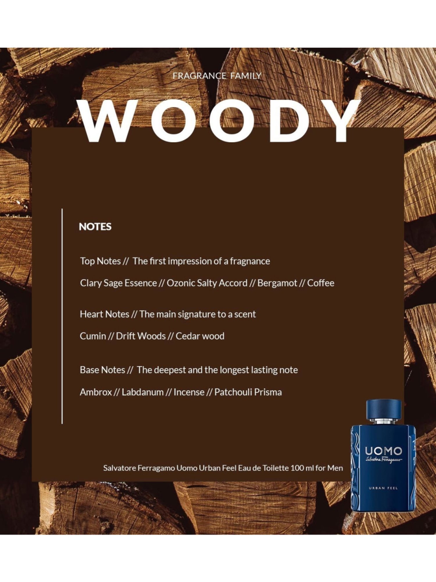 Salvatore Ferragamo Uomo Urban Feel Eau de Toilette 100 ml for Men