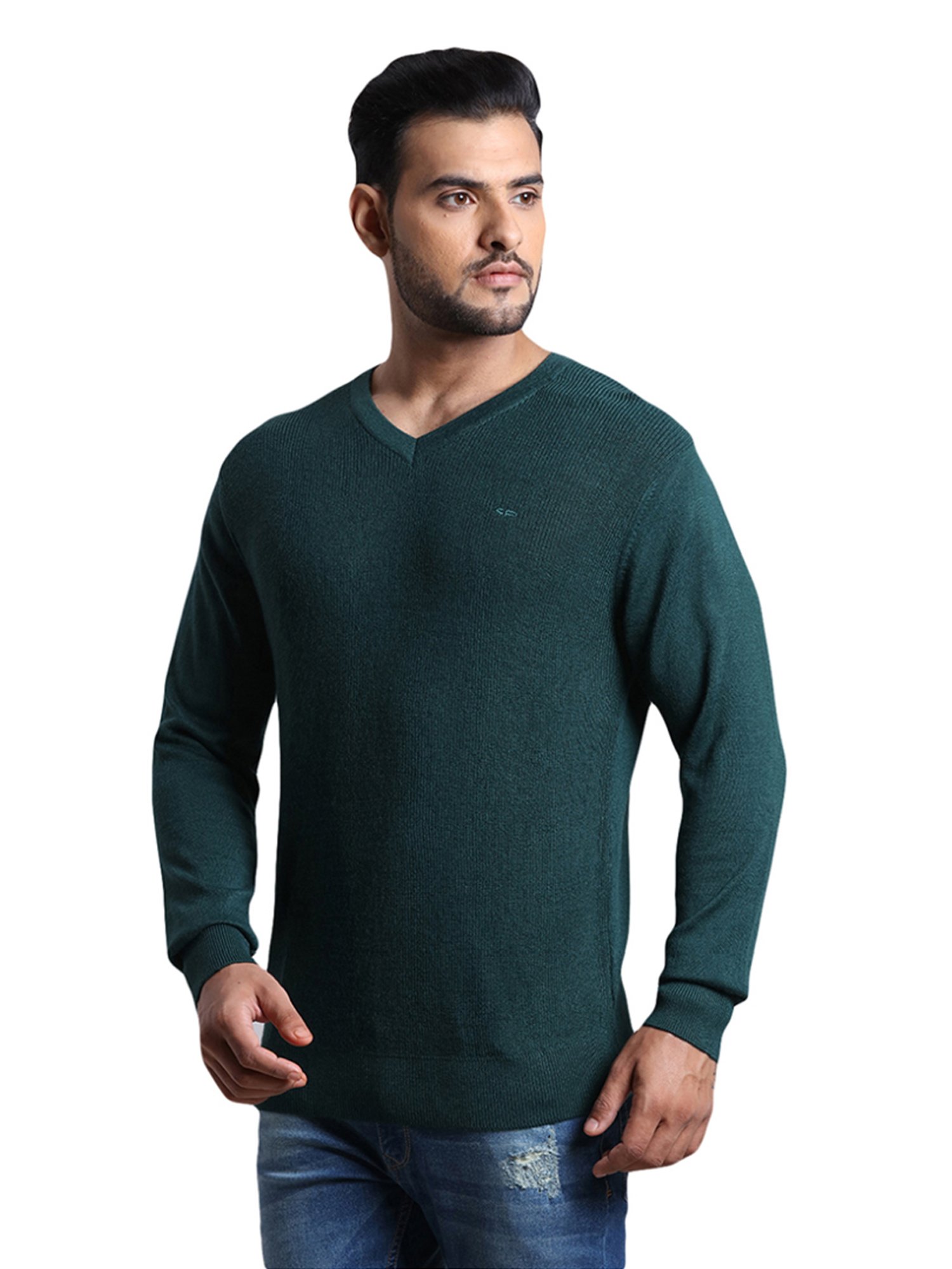 ColorPlus Green Tailored Fit Sweater