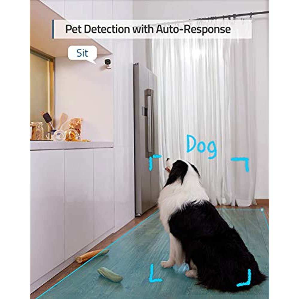 eufy Security 1080P Indoor Cam, Plug-in Security Indoor Camera with Wi-Fi, Human and Pet AI, Works with Voice Assistants, Night Vision, Two-Way Audio, HomeBase Not Required