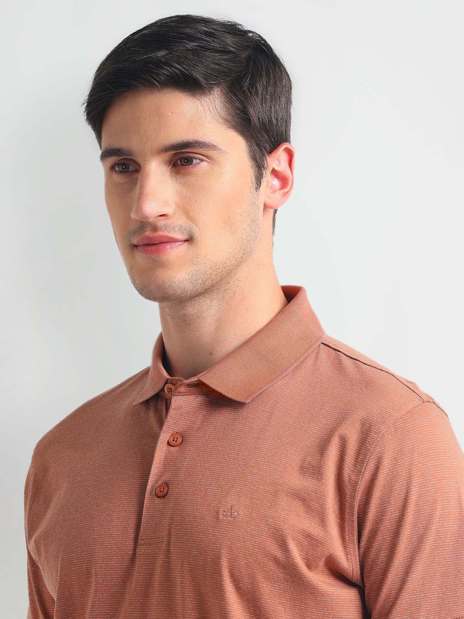 Arrow Brown Cotton Regular Fit Striped Polo T-Shirt
