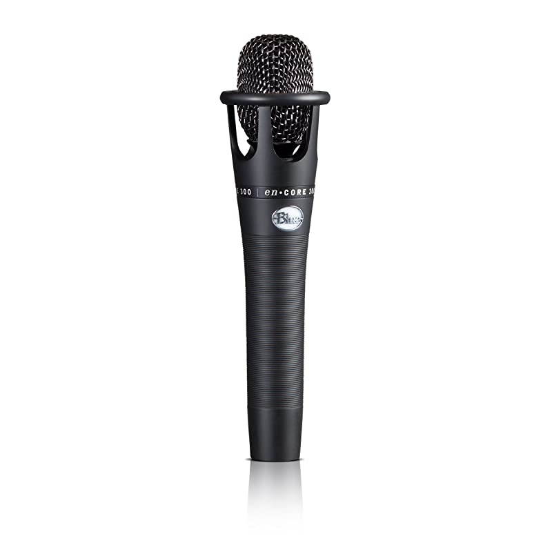 Encore 300 Vocal Condenser Microphone