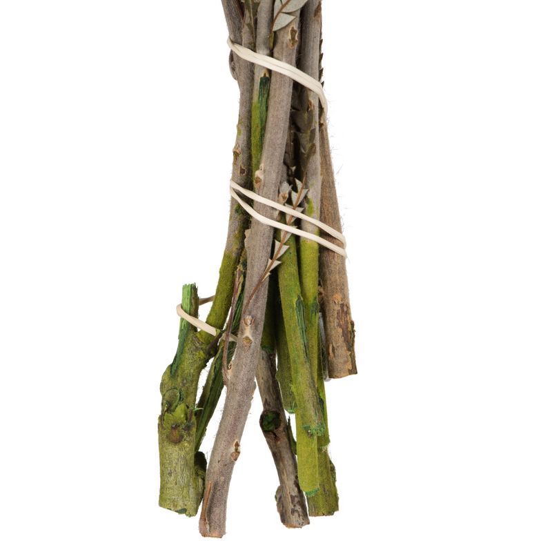 Vickerman 12" Autumn Banksia Foliage & Flowers-Preserved, 4 oz Bundle