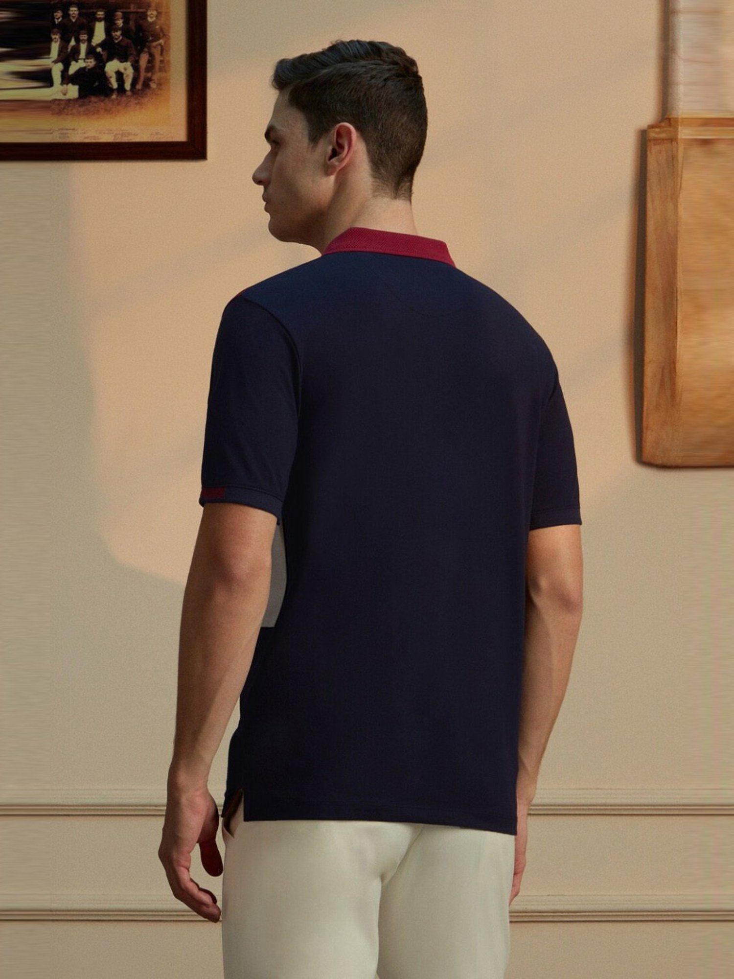 Peter England Multicolored Cotton Regular Fit Colour Block Polo T-Shirt