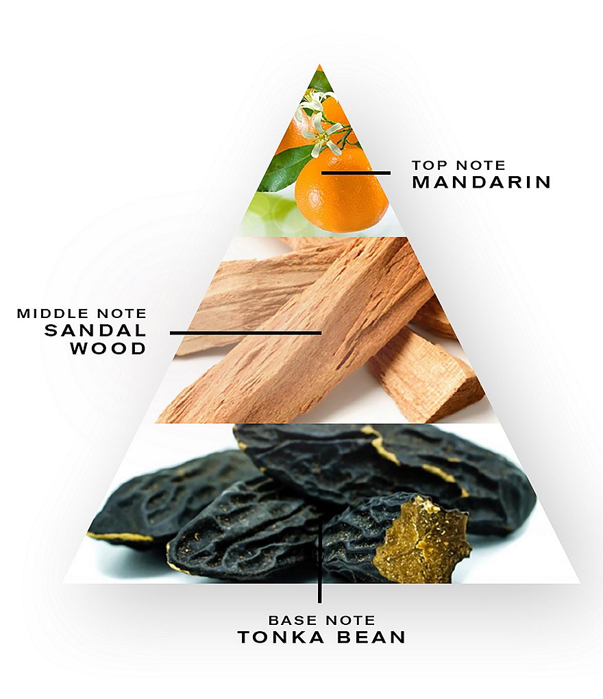 CREED Aventus Cologne