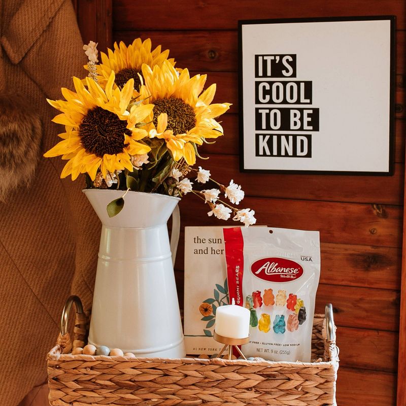 Albanese World's Best 12 Flavor Gummi Bears - 9oz