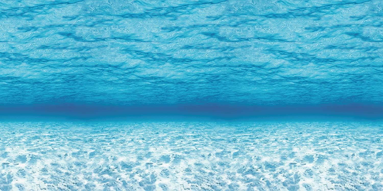 Pacon Fadeless Under the Sea Pattern Art Paper Roll, 48 Inches x 12 Feet