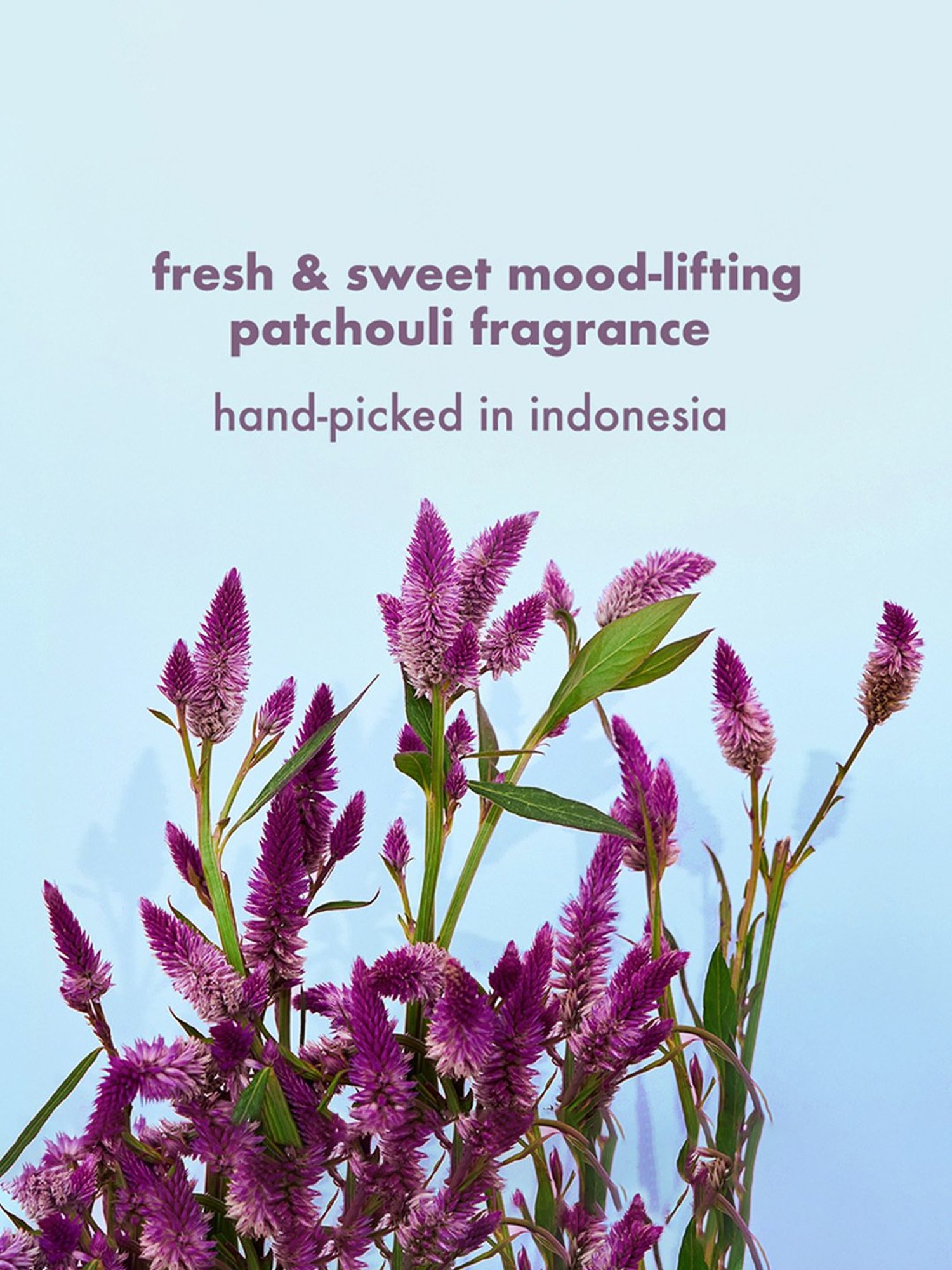 Love Beauty & Planet Onion, Black Seed Oil & Patchouli Hairfall Control Conditioner - 400 ml