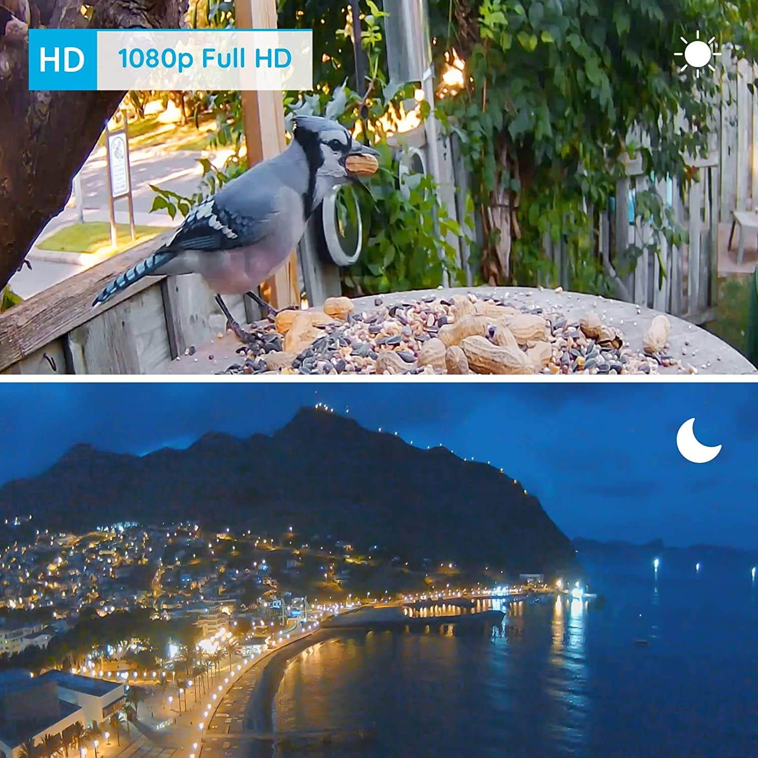 Reolink Outdoor Security Camera Wireless Rechargeable Battery 1080P Color Night Vision Motion Detection 2-Way Audio, Support Google Assistant, Cloud Storage, Argus 2