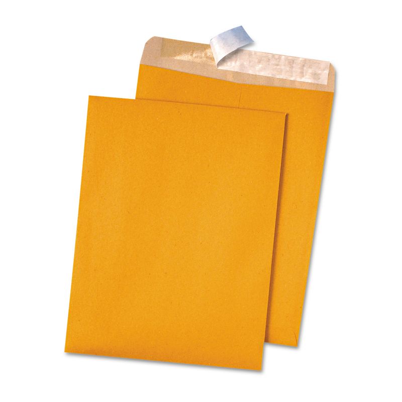 Quality Park 100% Recycled Brown Kraft Redi Strip Envelope 9 x 12 Brown Kraft 100/Box 44511