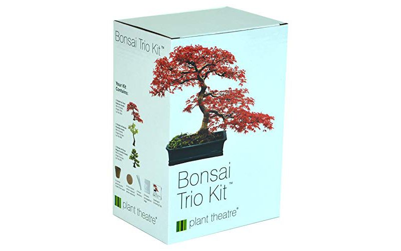 Plant Theatre Bonsai Trio Kit - Plant Seed Kit - 3 Distinctive Bonsai Trees to Grow - Everything You Need to Start Growing in one Box!