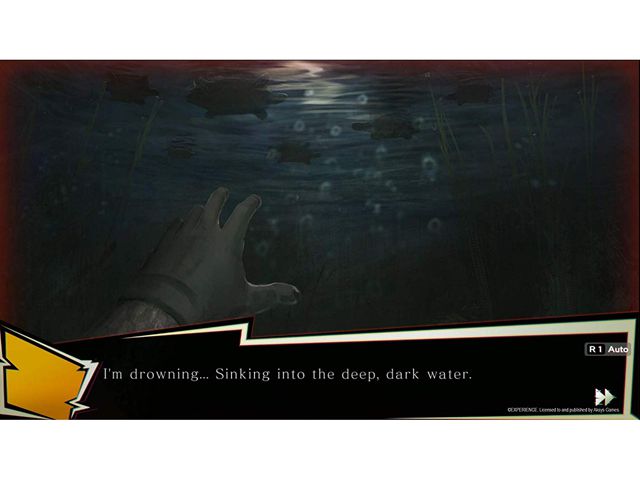 Spirit Hunter: NG - PlayStation 4