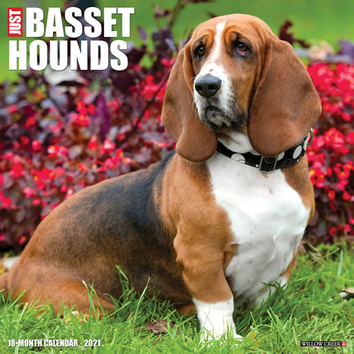 2021 Basset Hounds Wall