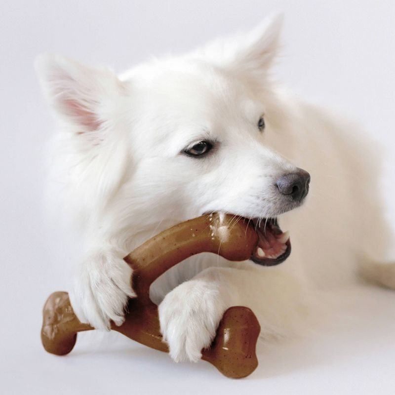 Benebone Wishbone Bacon Dog Toy - M
