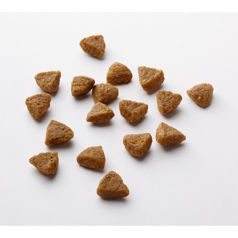 Purina ONE SmartBlend Sensitive Systems Adult Dry Dog Food - 16.5lbs