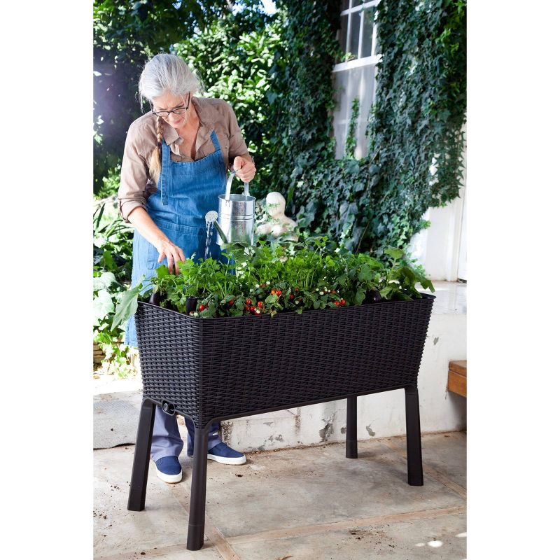 Rectangular Easy Grow Elevated Garden Bed Anthracite - Keter