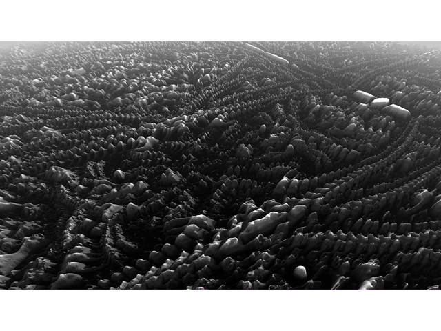 PD Howler 11 [Online Game Code]