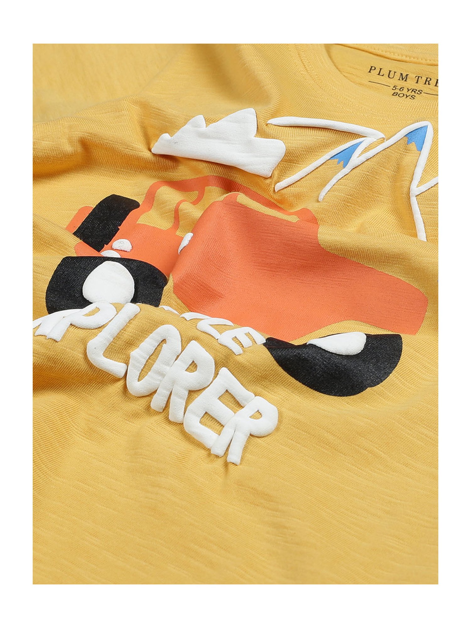 Plum Tree Kids Multicolor Printed T-Shirt (Pack Of 2)