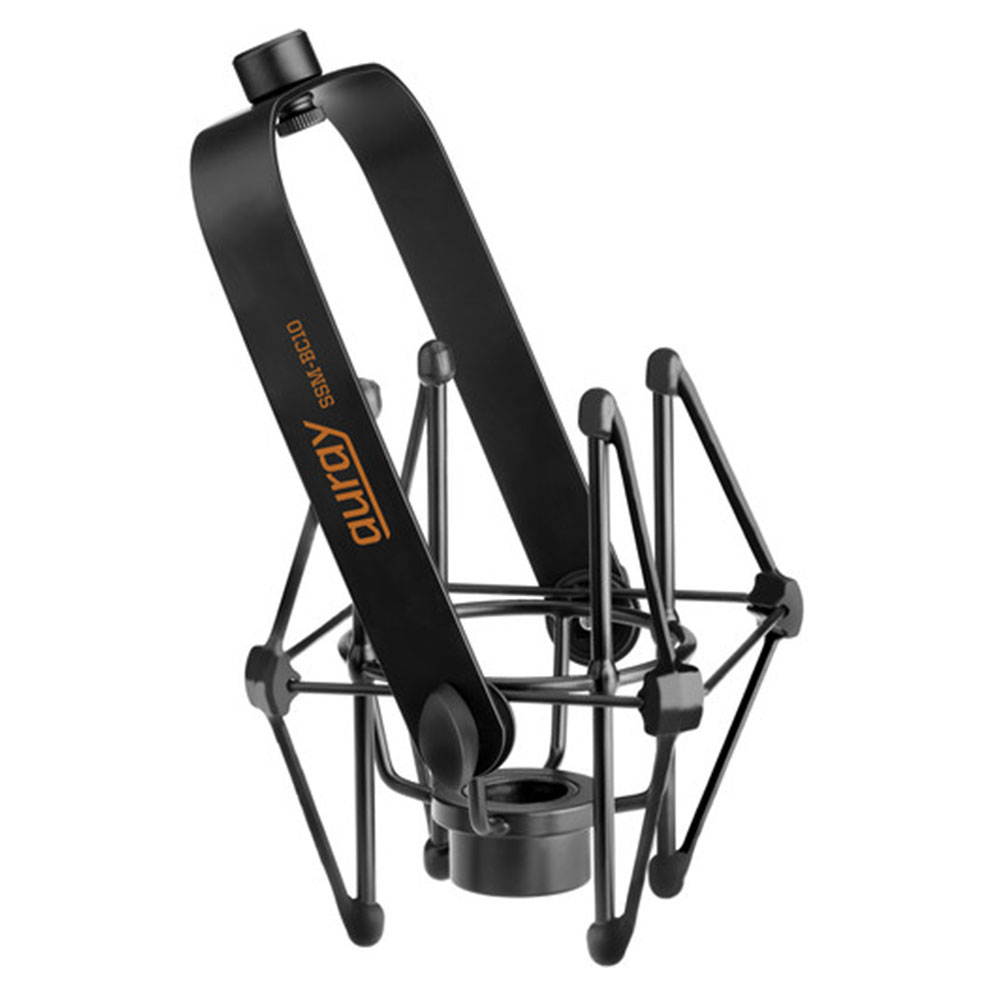 Heil Sound PR 30B Dynamic Cardioid Studio Microphone (Matte Black) with Auray Two-Section Broadcast Arm and Heil Sound Shock Mount For PR40/ Black