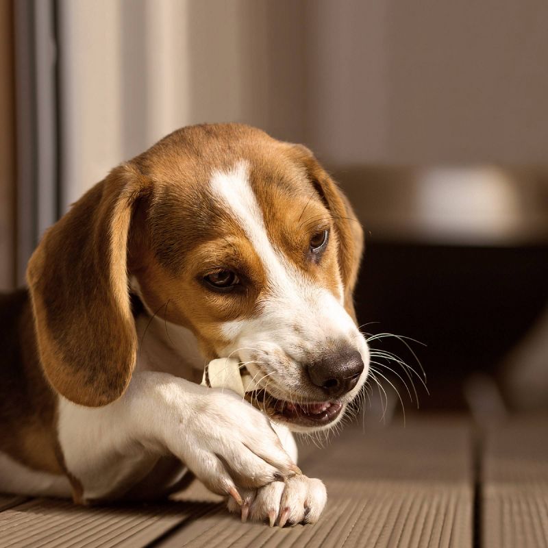 Buffalo Range Jerky Mini Bones Hickory Smoked Flavor Rawhide Chew Dog Treats - 20ct