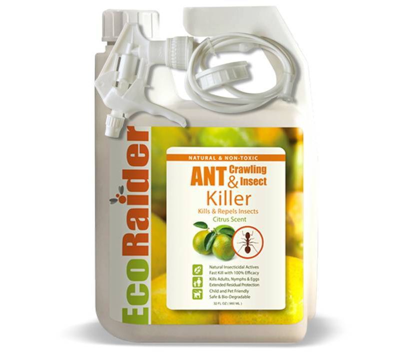 32oz Green & Non-Toxic Ant Repellent with Remote Trigger Sprayer - EcoRaider