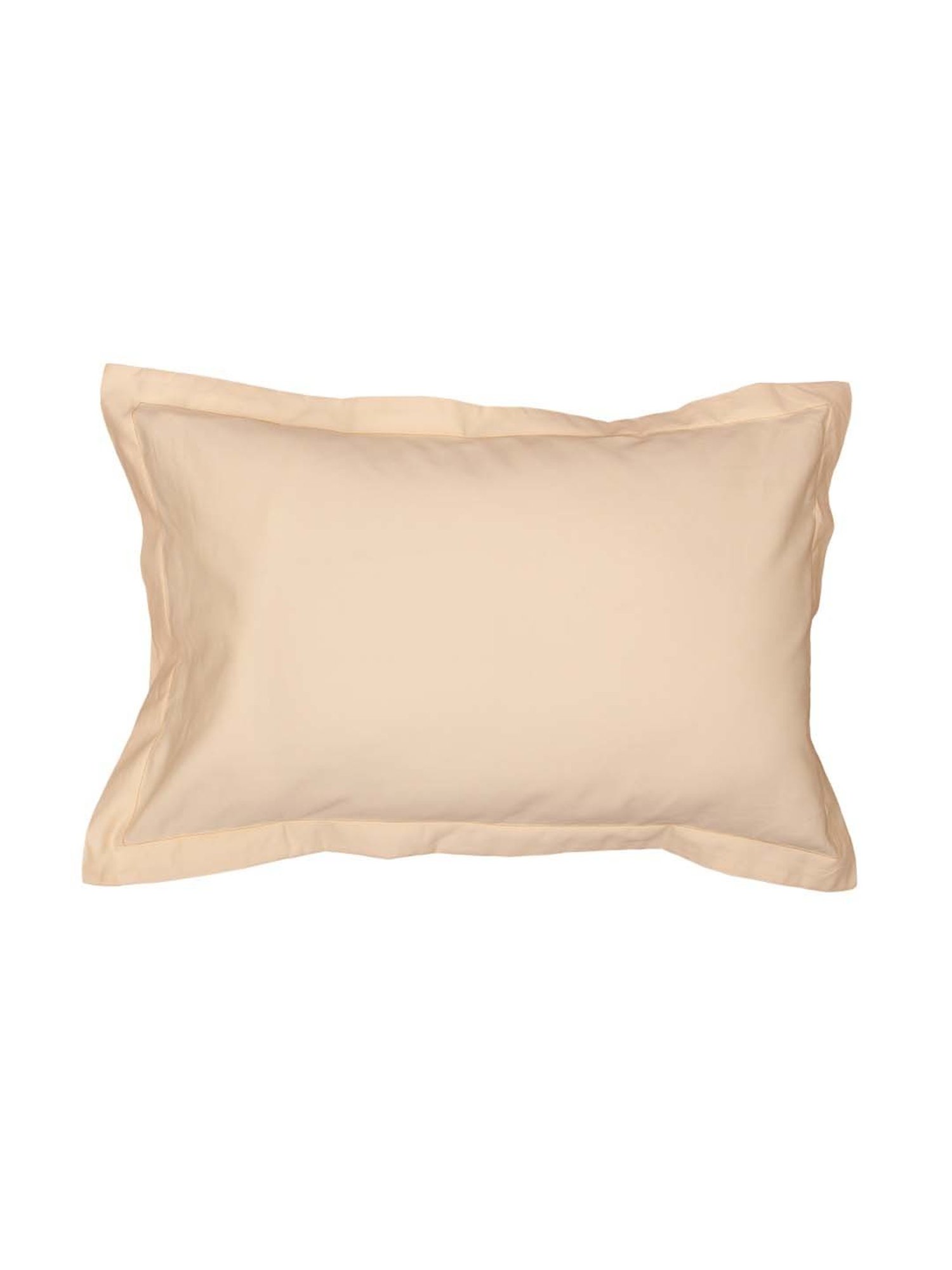 House This Ginger Beige 150 TC Cotton Fitted Bedsheet with 2 Pillow Covers