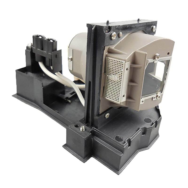 OMAIC Projector Lamp Bulb for Epson ELPLP67/ V13H010L67 Home Cinema PowerLite 500 707 710HD 750HD, W12 S12 EX5210 EX7210 EX3210 EX3212 VS210 VS220 X12 Replacement Projector Lamp/Bulb