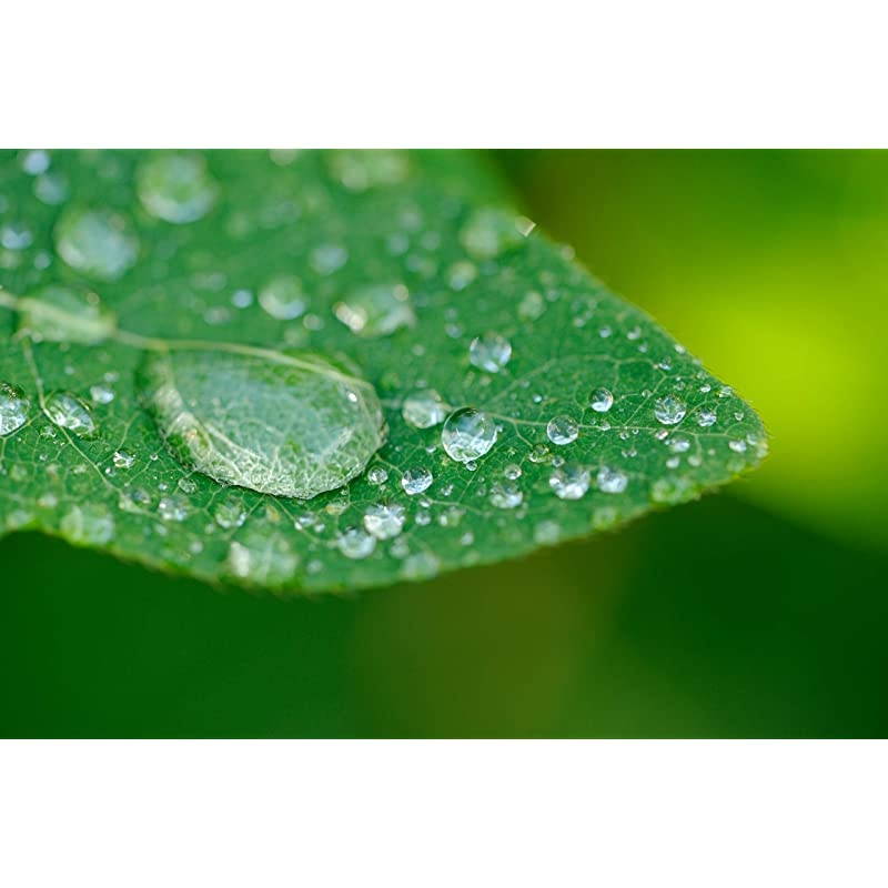 Macro +10 Achromatic HD Close-Up Screw Mount Lens (2 Element) (55mm)