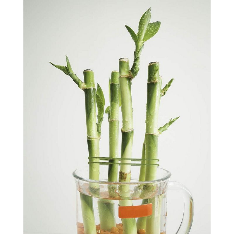 Bright Creations White Pearl Beads Chain Trim Roll for Wedding Garland, DIY Crafts, 0.31 in. x 65 ft