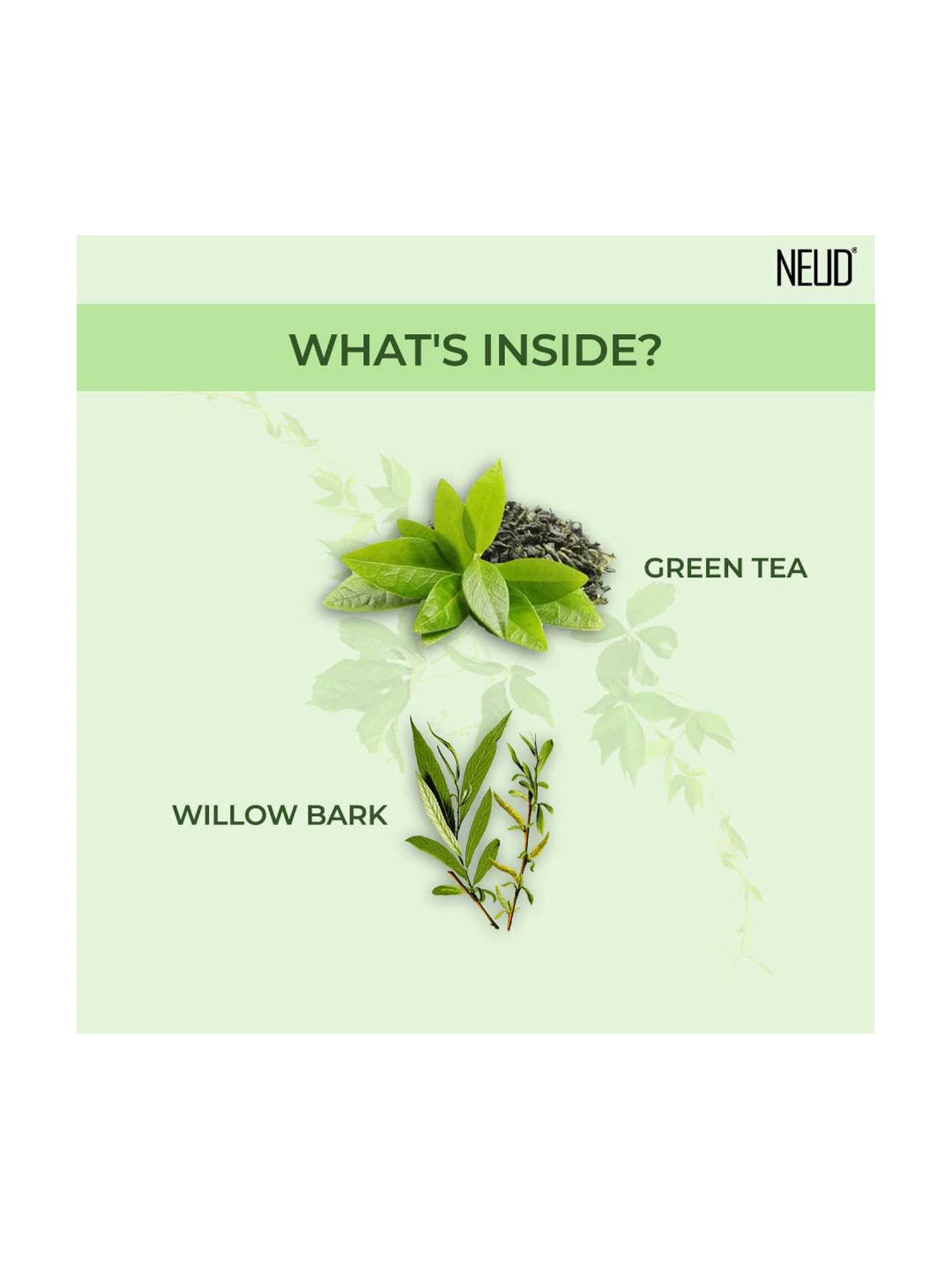 NEUD Green Tea Facial Mist Spray for Dehydrated & Irritated Skin - 100 ml Each (Pack of 2)