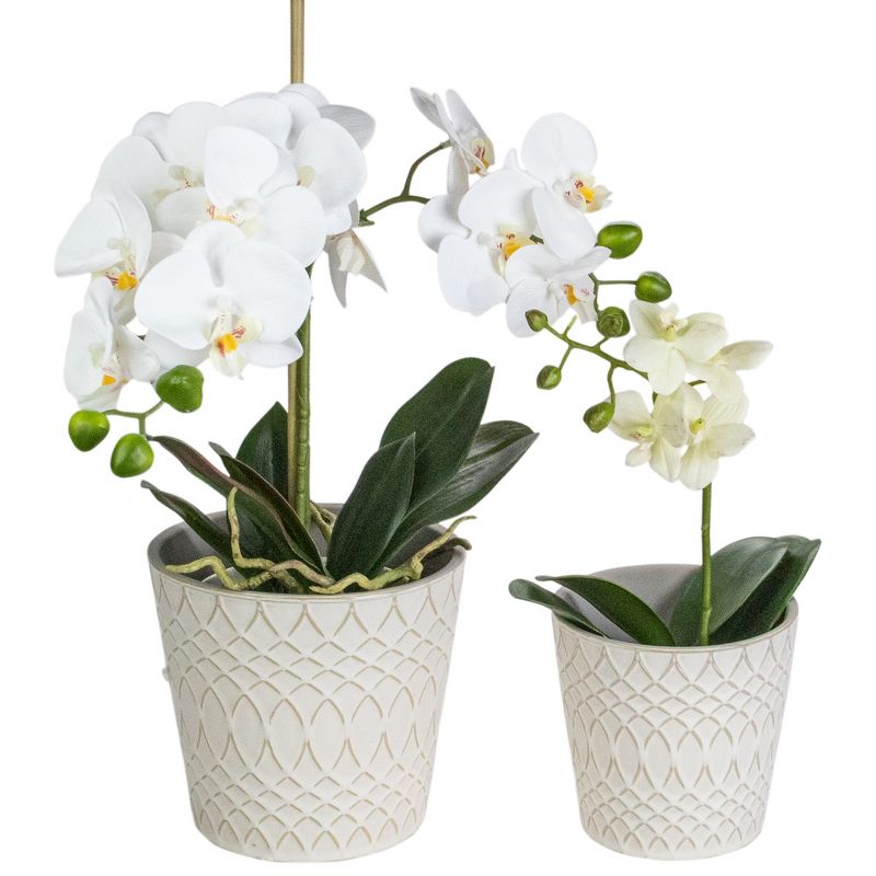 Napa Home & Garden Set of 2 Cream Geometric Patterned Planters 6.5"