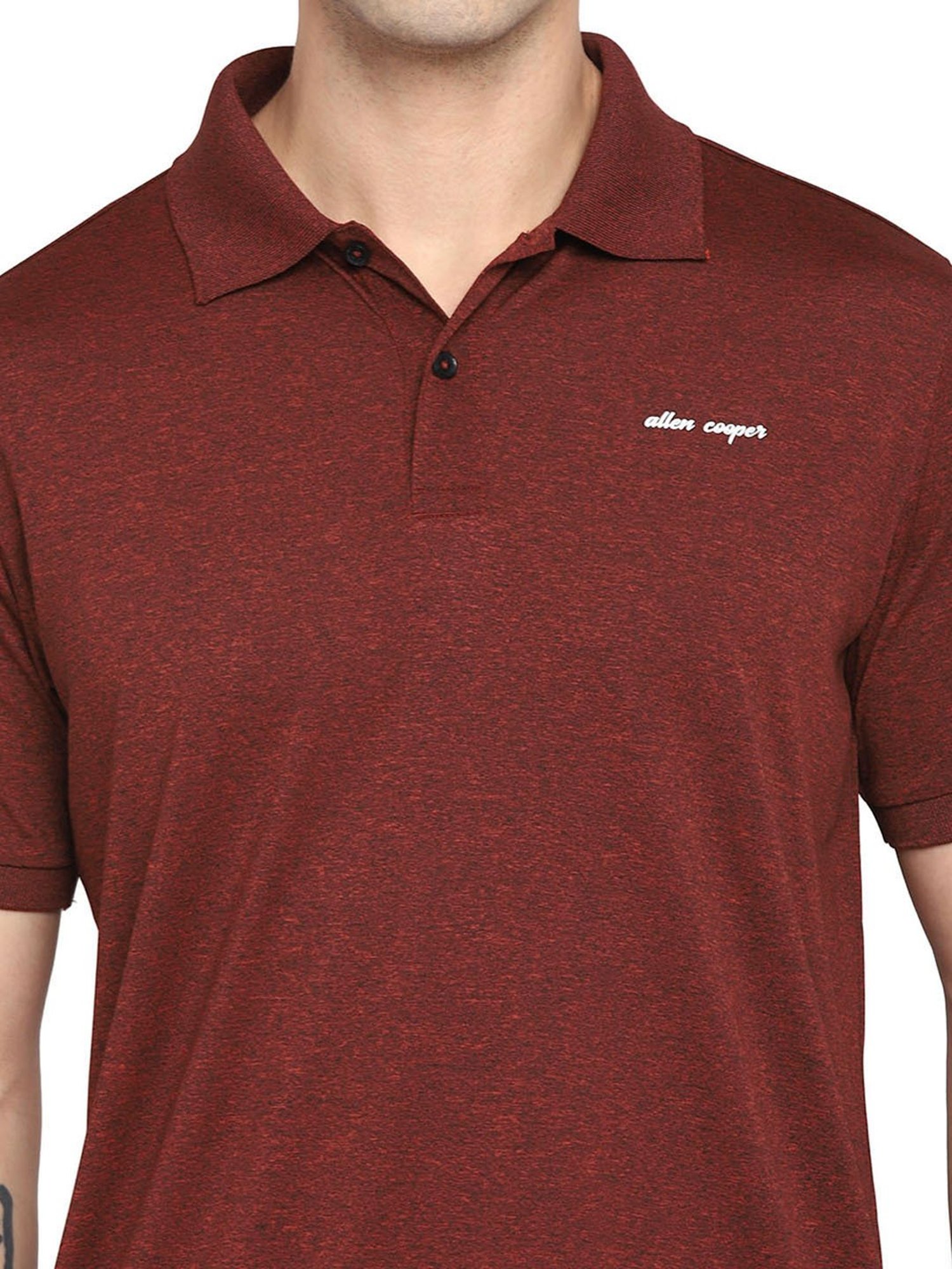 Allen cooper Rust Regular fit Polo T-Shirt