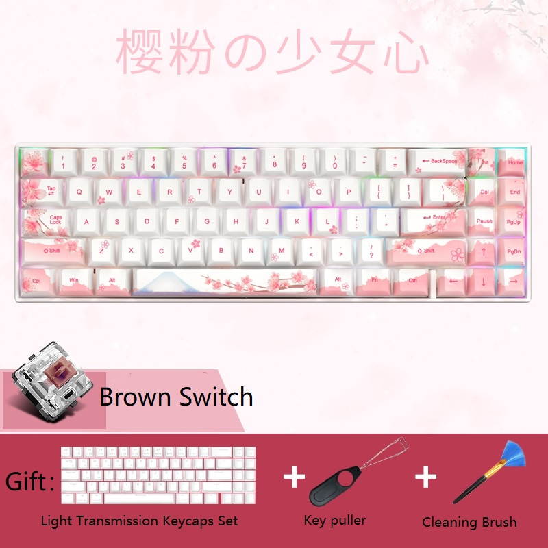 RK71 Mechanical Keyboard RGB Backlit 71 Keys Small Compact Gaming Keyboard, PBT Keycaps Wired/Wireless Bluetooth Mini Keyboard for iOS Android Windows PC and MacOS, Blue Switch( Cherry Blossom)