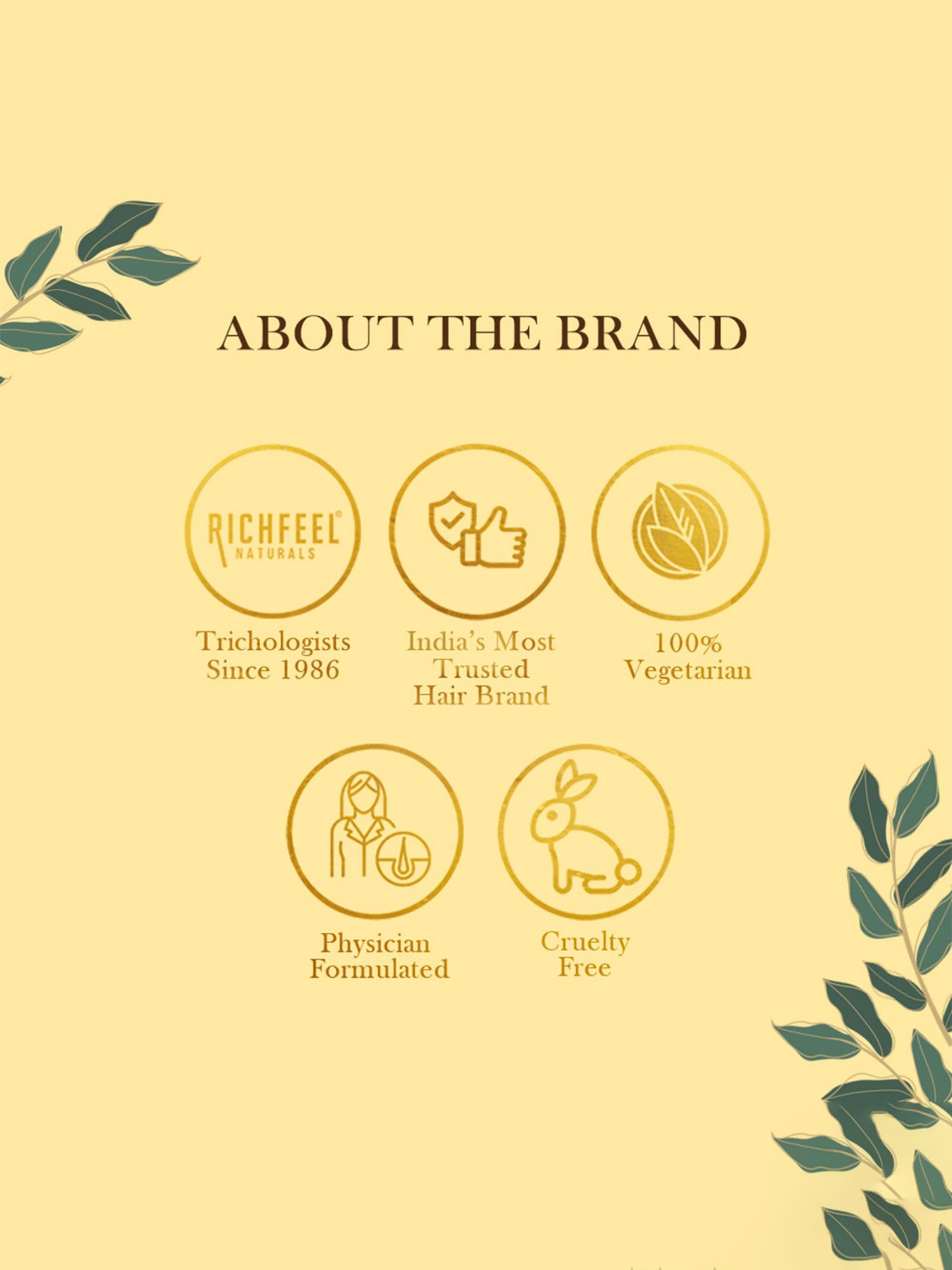 Richfeel Gold Facial Kit