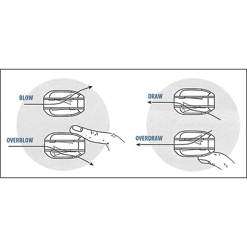 suzuki harmonica overdrivef