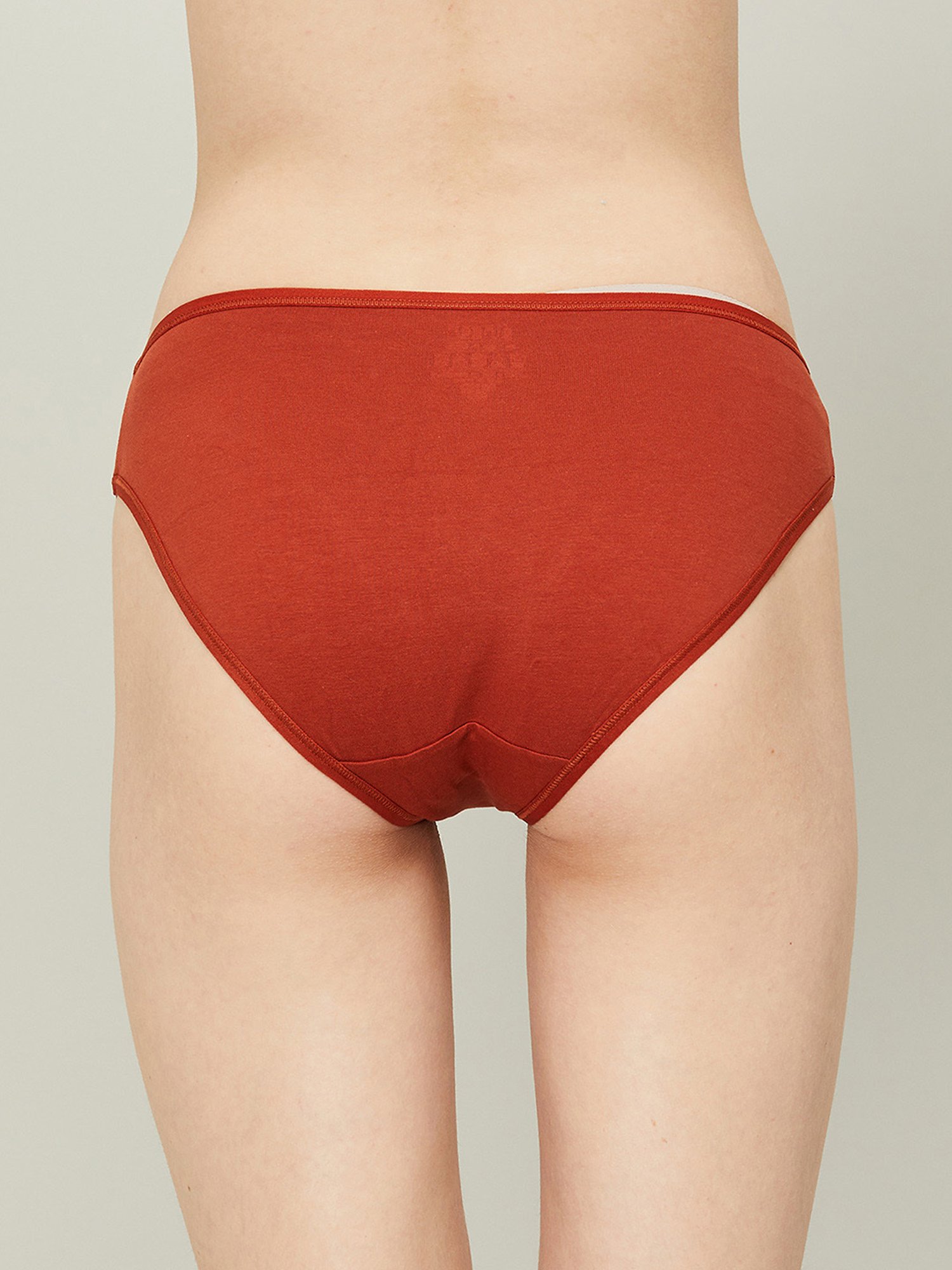 Ginger by Lifestyle Assorted Color Printed Panties - Pack Of 3