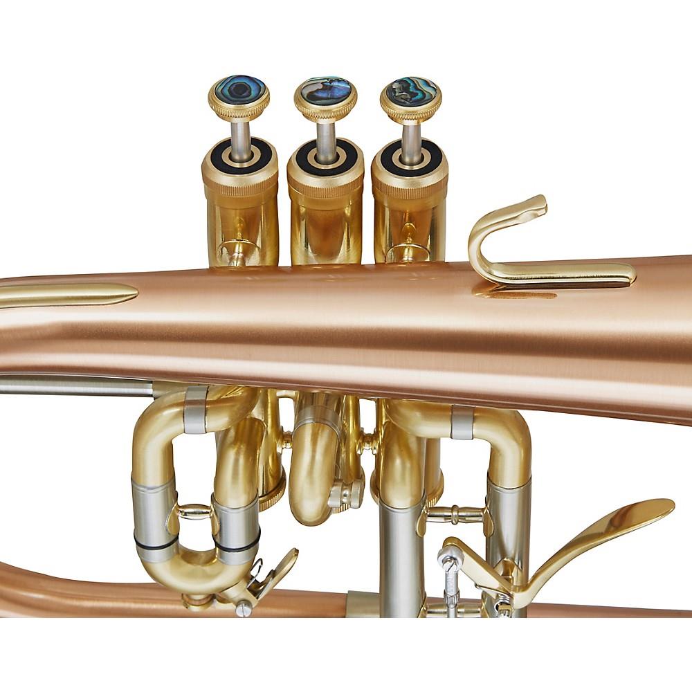 Blessing BFH-1541RT Performance Series Bb Flugelhorn Matte