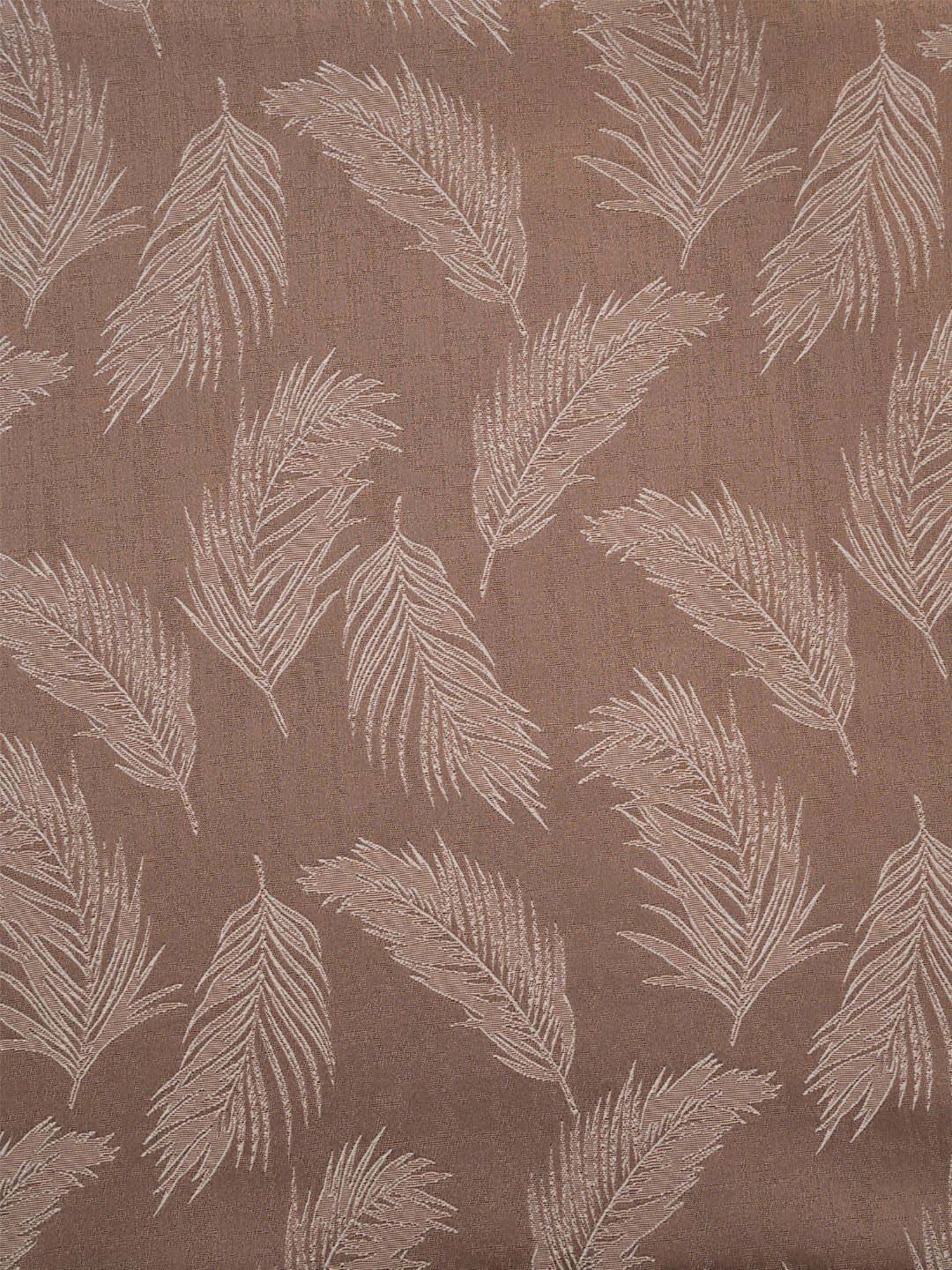Ariana Vera Feather Design Brown Polyester Window Curtain
