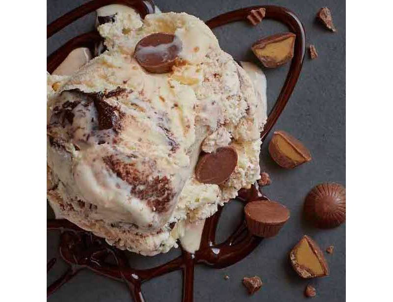 Hudsonville Creamery Deer Traxx Ice Cream - 48oz