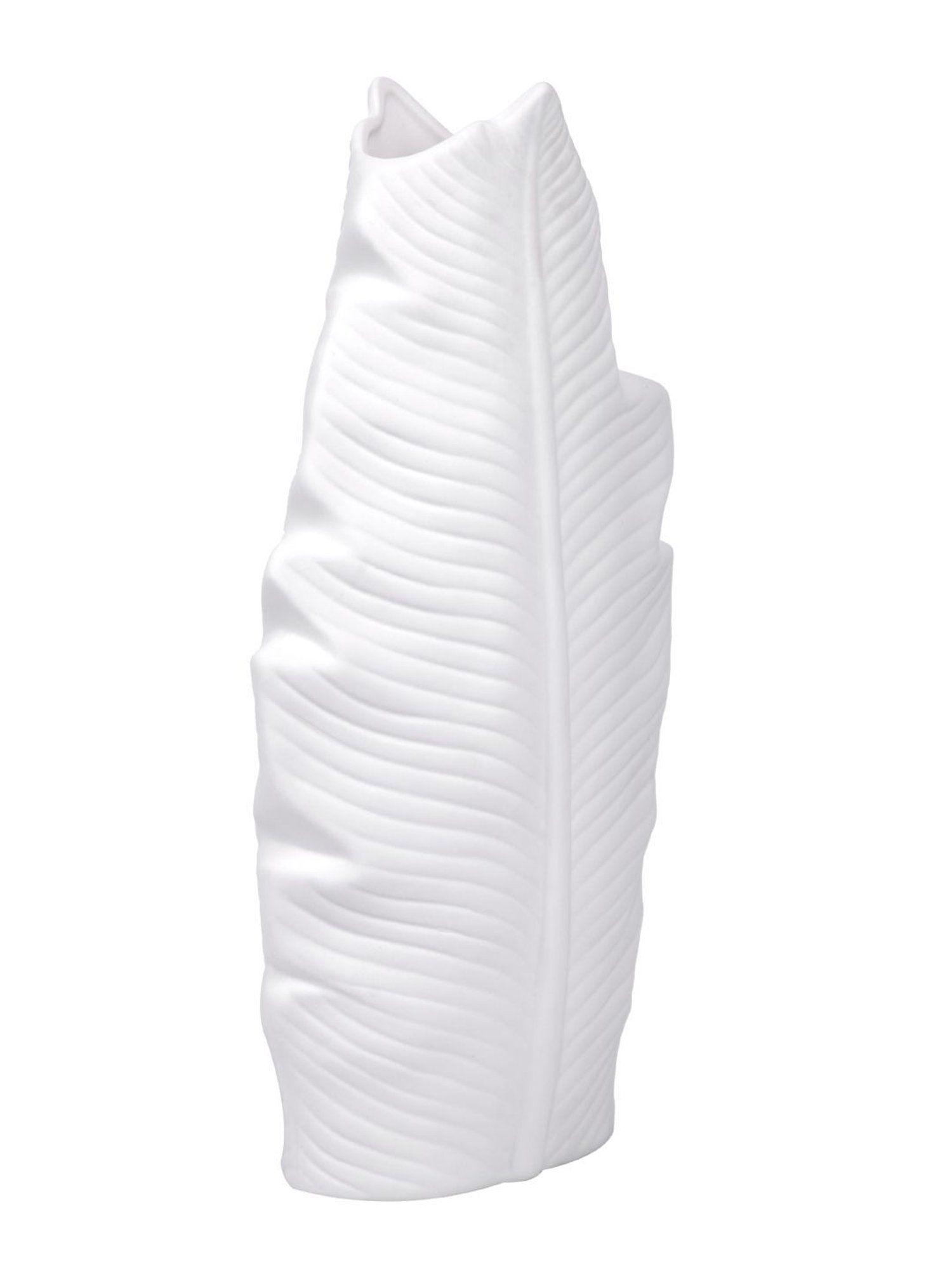 Tayhaa White Ceramic Feather Vase
