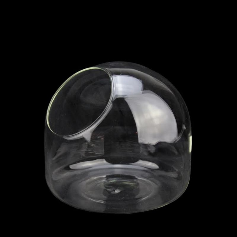 Napa Home & Garden 6" Round Orb Glass Indoor Terrarium Planter - Clear