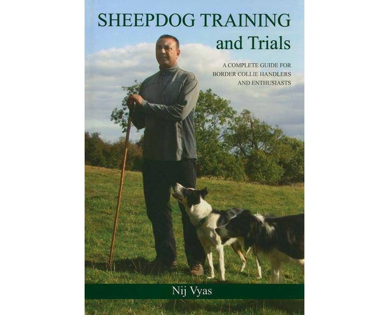 Behold the Personal Maine Coon - by  Phyllis Stiebens (Paperback)