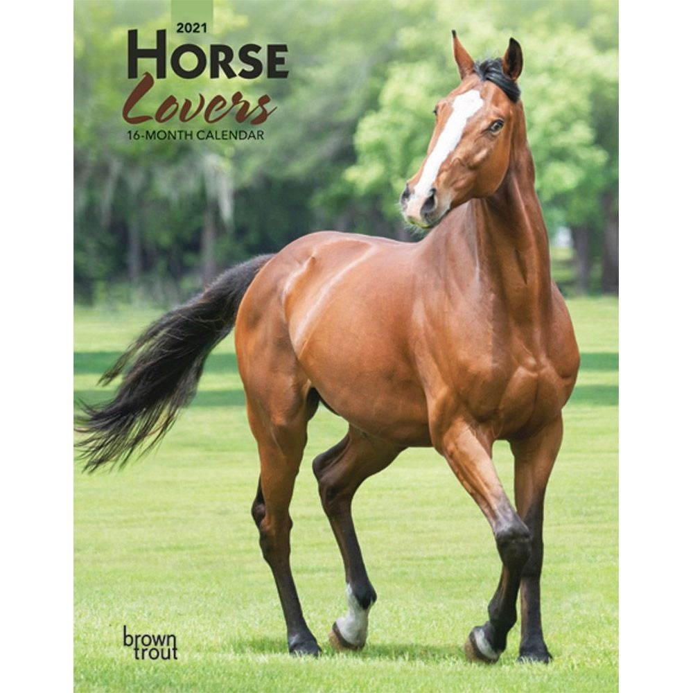 BrownTrout,  Horses Planner 2021