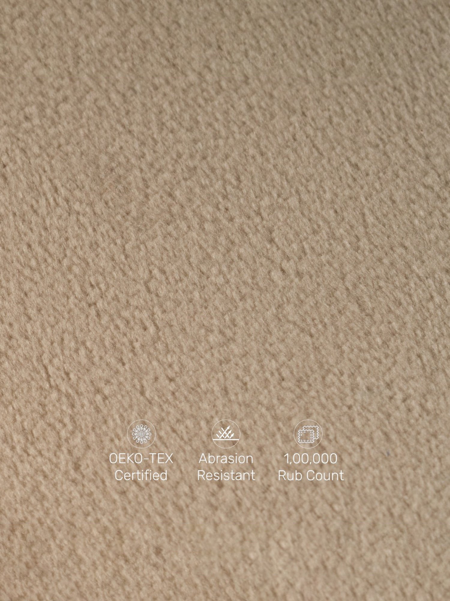 Durian Francis Modern Frosty White & Brown Solid Wood Sofa Cum Bed Walnut Finish