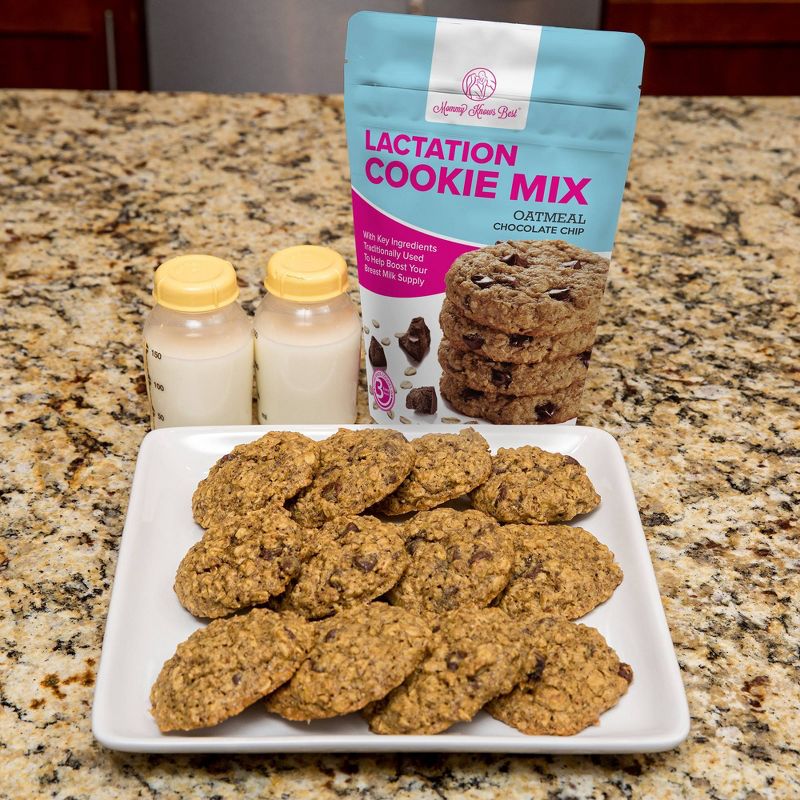 Mommy Knows Best Oatmeal Chocolate Chip Lactation Cookie Mix - 16oz