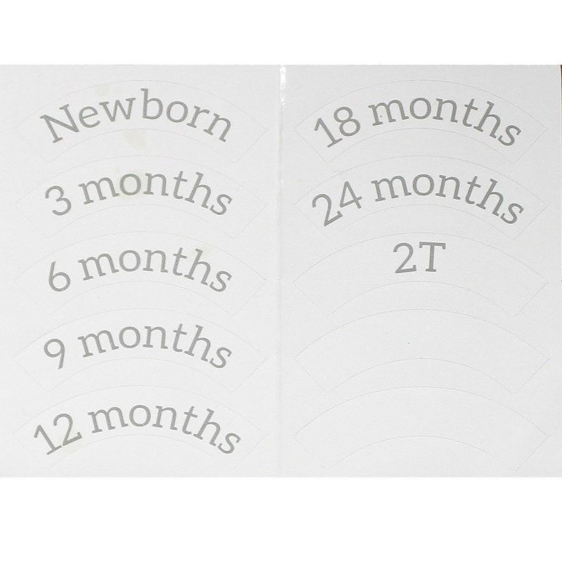 StorageWorks 2+2 Shelves Hanging Closet Organizer Gray