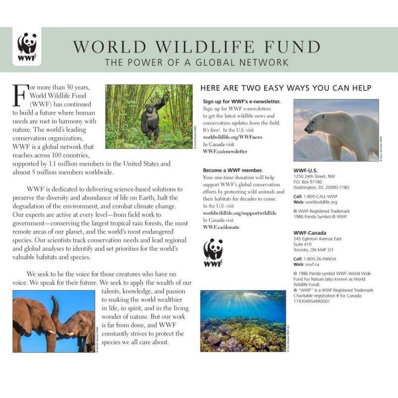 Calendar Ink,  Wolves WWF Wall Calendar 2021