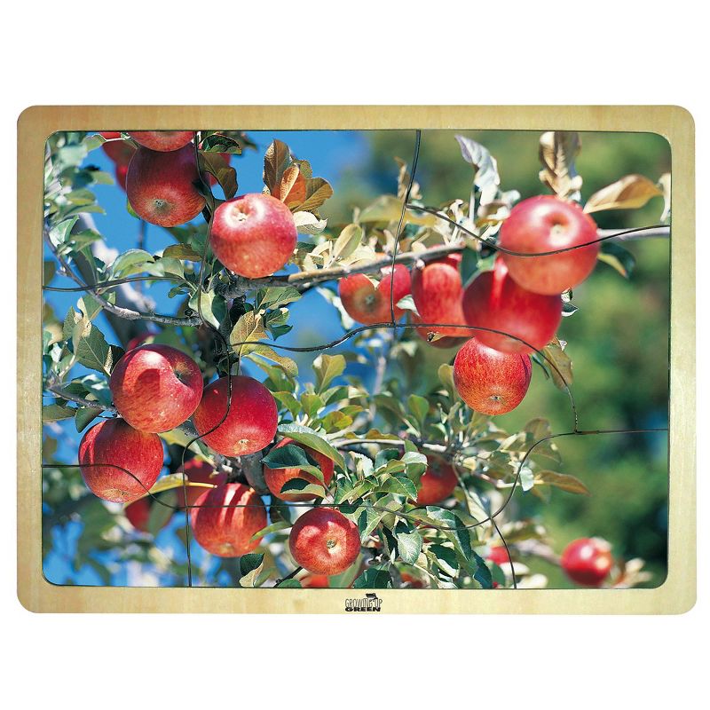 MOJO Fresh Fruits Puzzles - Set of 6 Puzzles - Promote Healthy Living and Healthy Eating